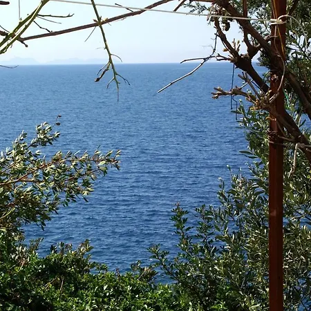 189b アパート ザヴァラティサ