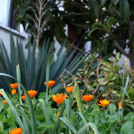 Апартаменты 189b *